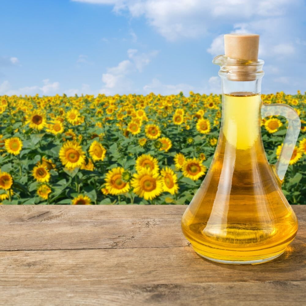 The Truth About Seed Oils and Inflammation — What Science Actually Says